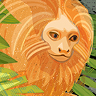 Illustration in a series, On the Edge, of a Golden Lion Tamarin viewing the destruction and deforestation of its home in Brazil.